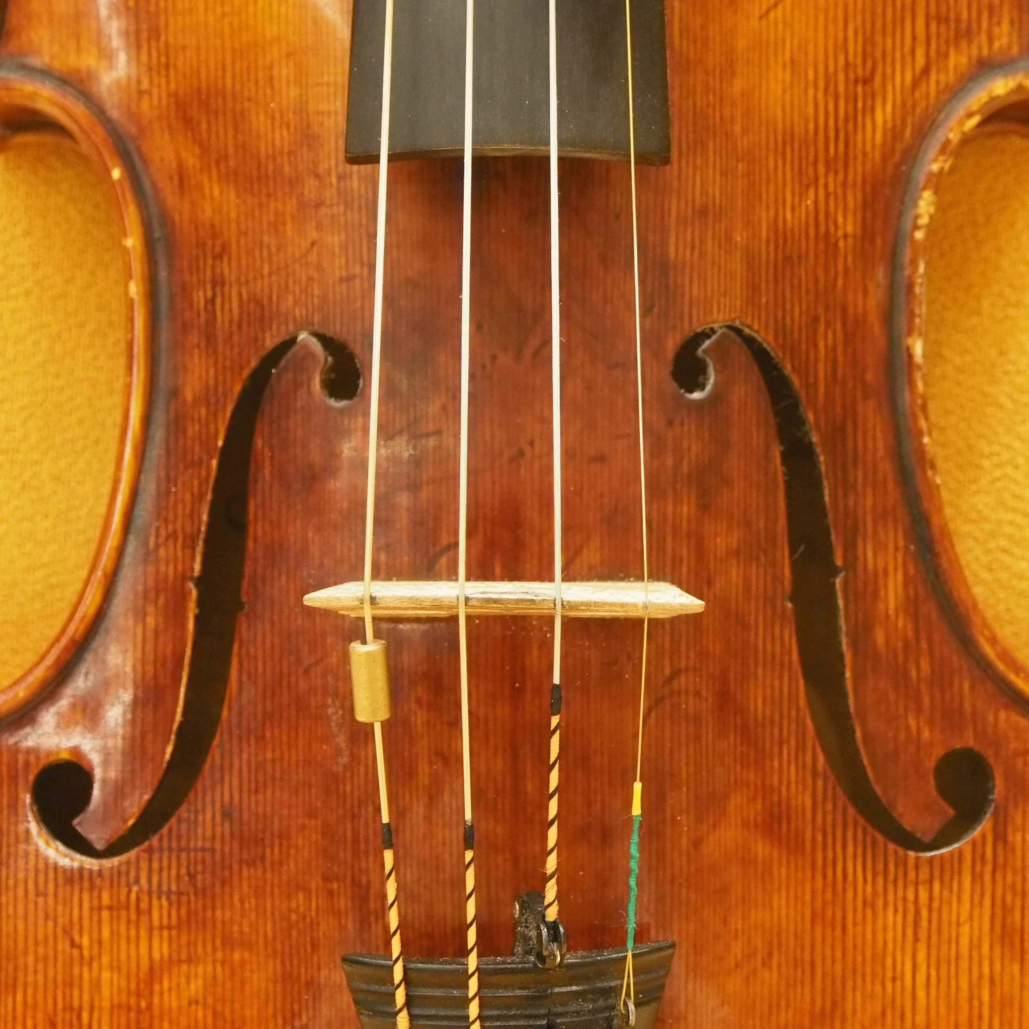 Violine Filum Musikschule Filderstadt